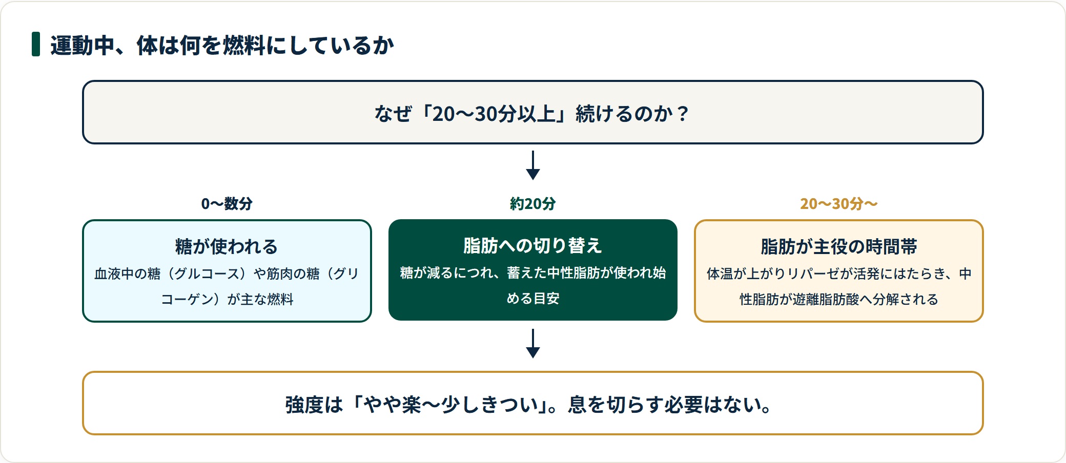 運動開始直後は糖が使われ、約20分後から蓄えた中性脂肪が燃料として使われ始める流れを示した図。