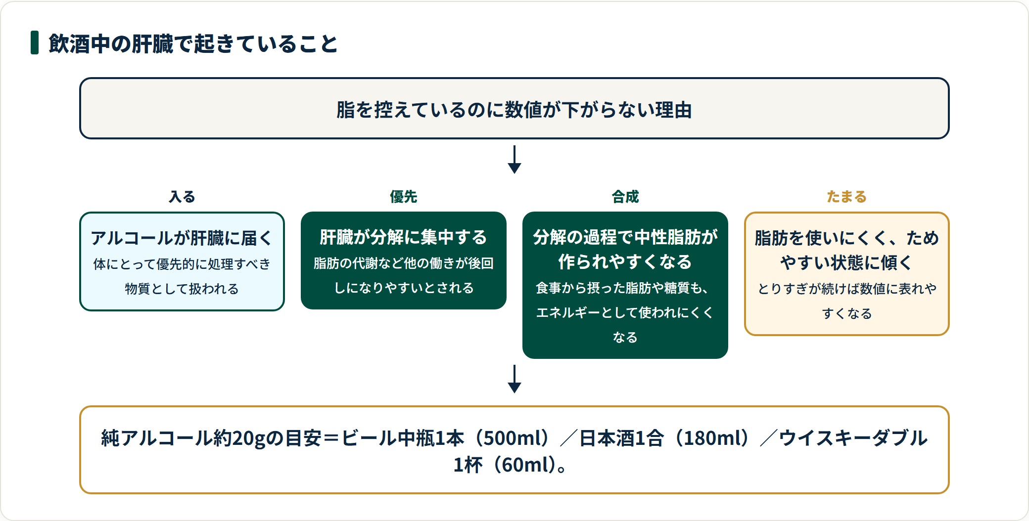 飲酒中の肝臓がアルコール処理を優先し、中性脂肪がたまりやすい状態に傾く流れを示した図