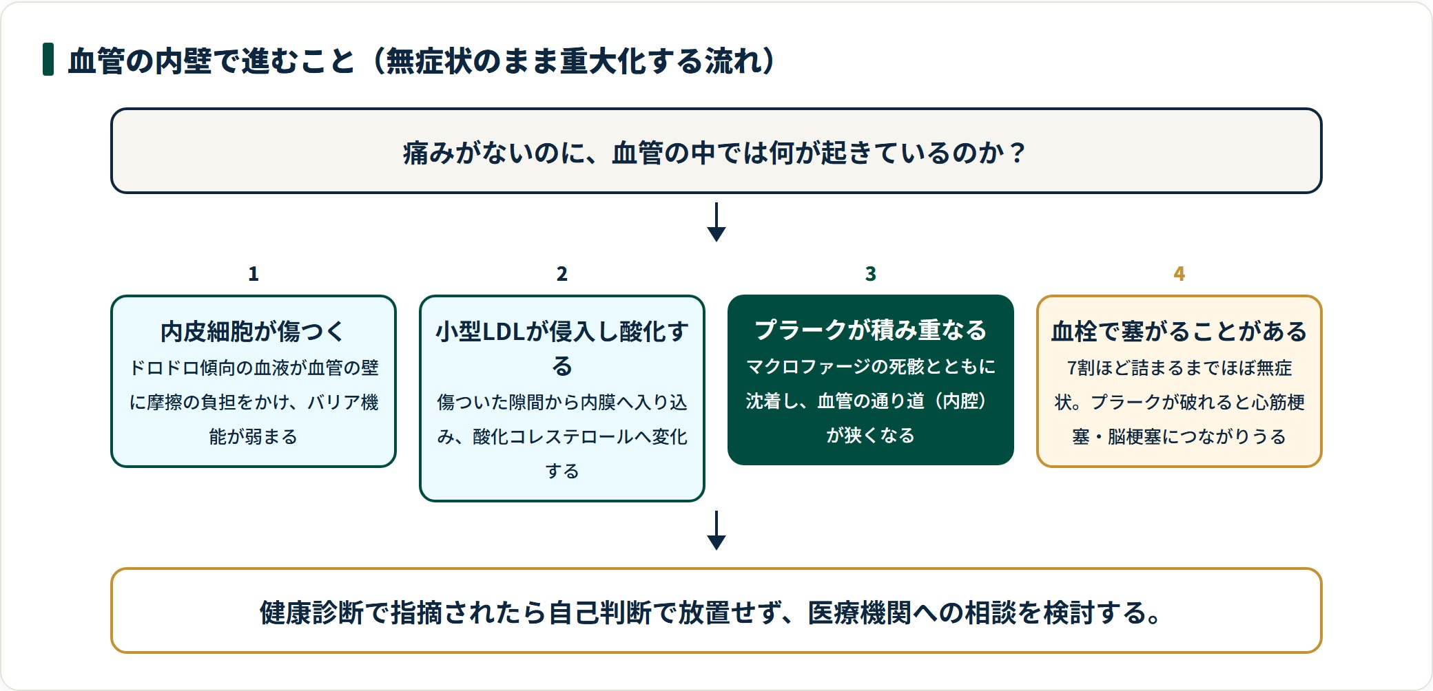 内皮細胞の損傷から小型LDLの侵入、プラークの蓄積、血栓による閉塞へと進む動脈硬化の流れを示した図。