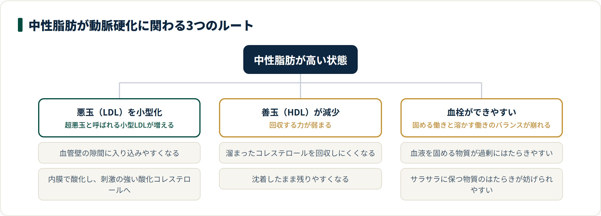 中性脂肪が高い状態が、悪玉LDLの小型化・善玉HDLの減少・血栓のできやすさの3ルートで動脈硬化に関わることを示した分類図。