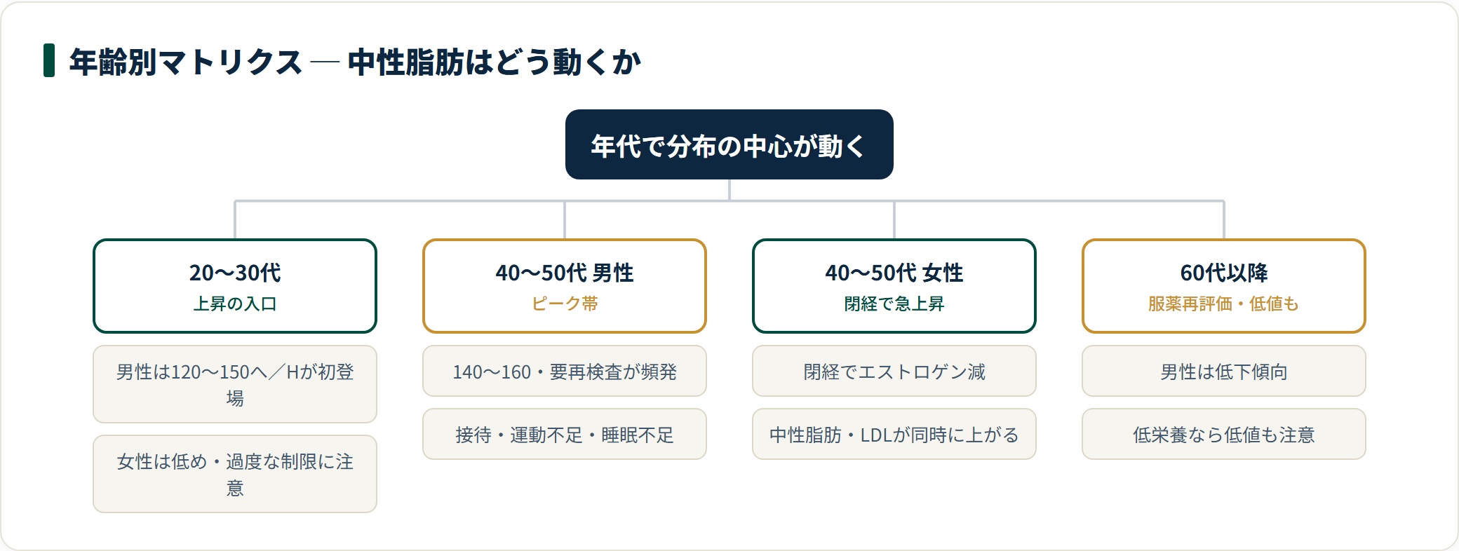 中性脂肪の年齢別マトリクス。20〜30代は上昇の入口、40〜50代男性はピーク、40〜50代女性は閉経で急上昇、60代以降は服薬再評価と低値の両面を示す分類ツリー