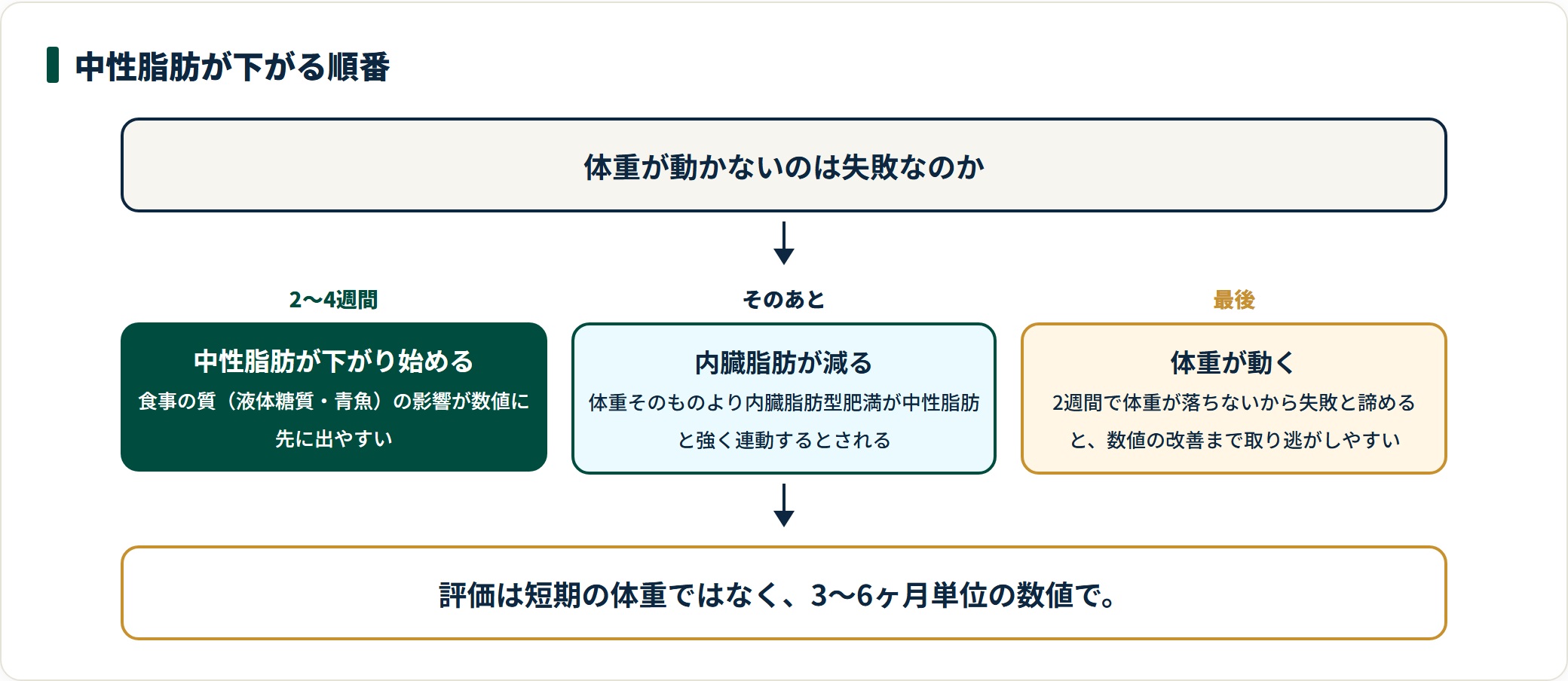 中性脂肪が2〜4週間で下がり始め、内臓脂肪、体重の順に変化が現れる流れを示した図。