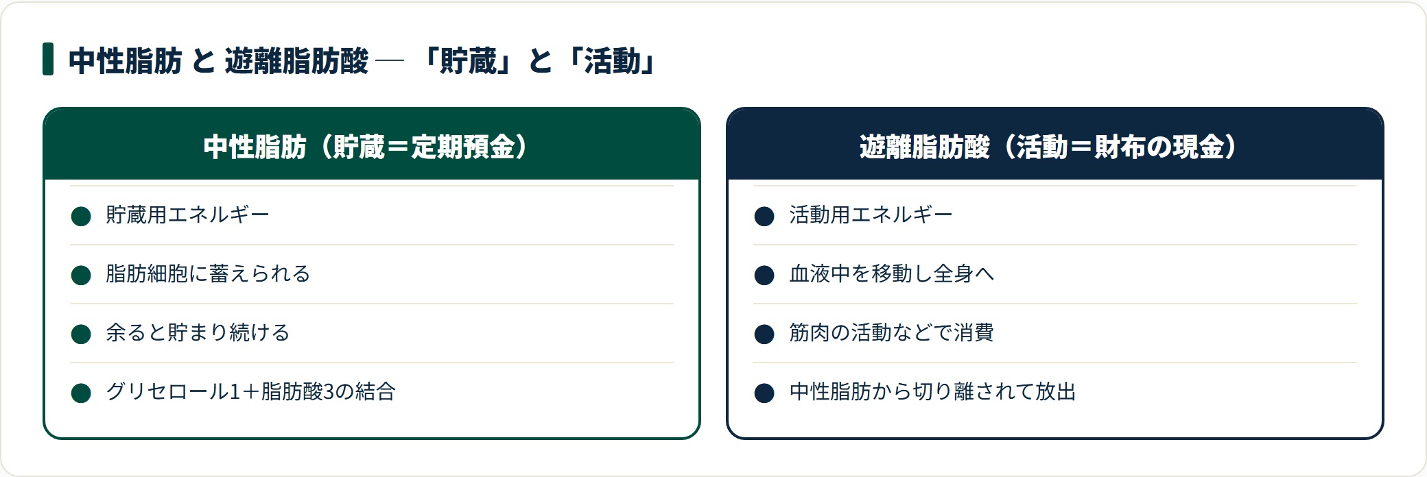 中性脂肪（貯蔵用・定期預金）と遊離脂肪酸（活動用・財布の現金）の役割・場所の違いを示す比較カード