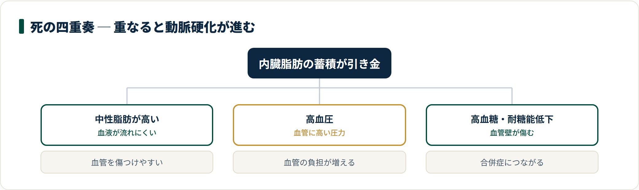 内臓脂肪の蓄積を引き金に、高中性脂肪・高血圧・高血糖が重なって動脈硬化が進む「死の四重奏」の分類ツリー