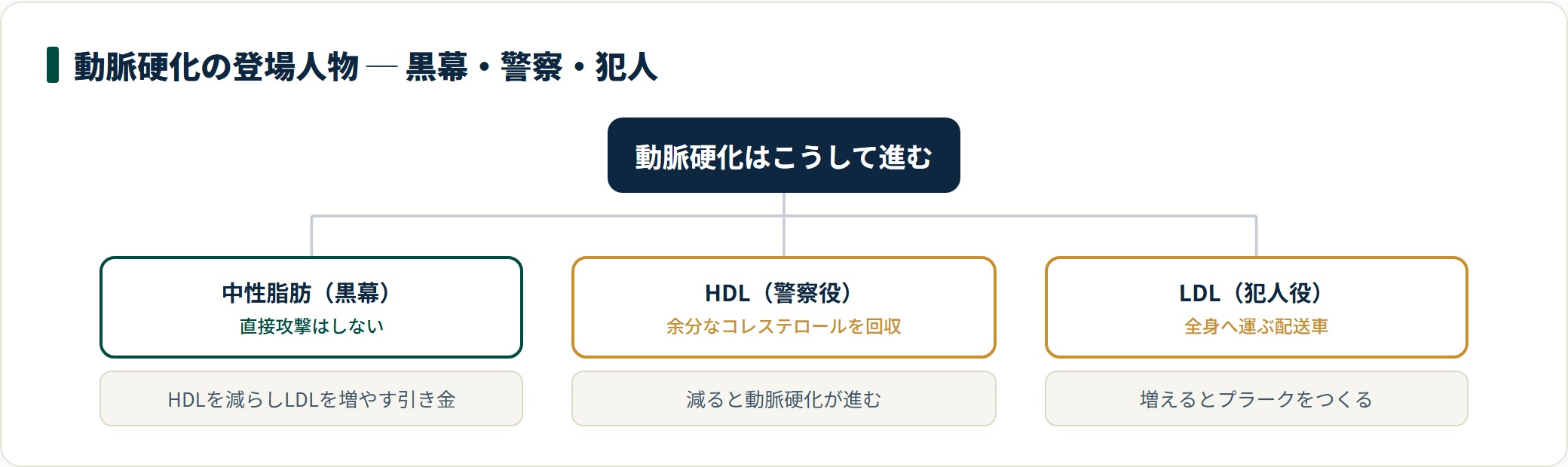動脈硬化の登場人物。中性脂肪（黒幕）・HDL（警察役）・LDL（犯人役）の役割を示す分類ツリー