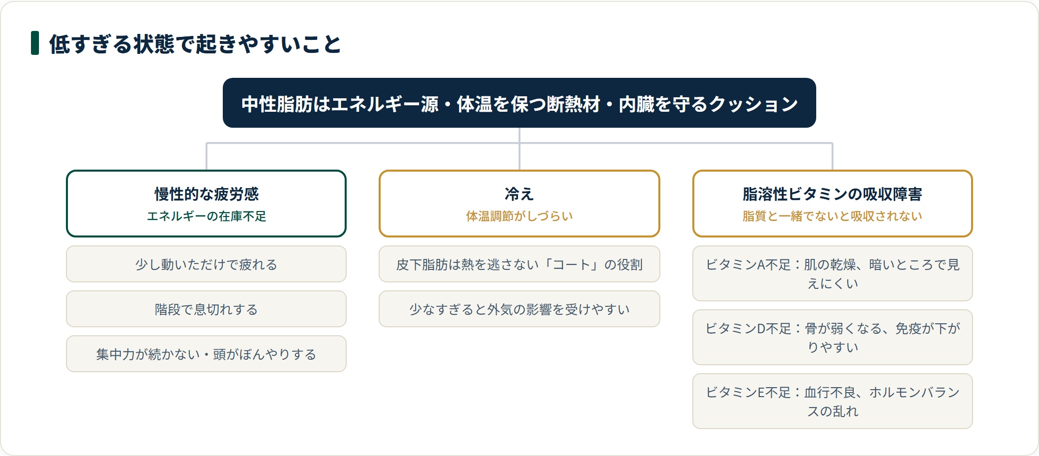 中性脂肪が低すぎる状態で起きやすい3つの影響を、疲労・冷え・ビタミン欠乏に分類した図