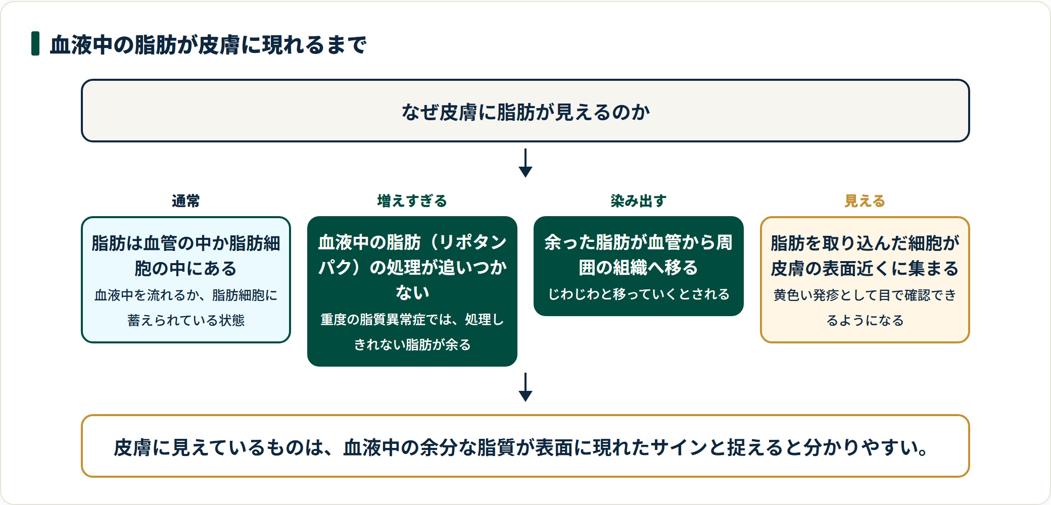 血液中の脂肪が皮膚に黄色い発疹として現れるまでの流れを4段階で示した図