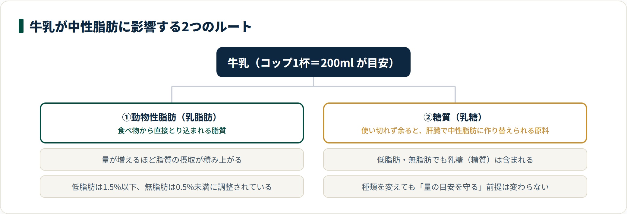 牛乳が中性脂肪に影響するルートを乳脂肪と乳糖の2つに分類し、それぞれの注意点を整理した図。