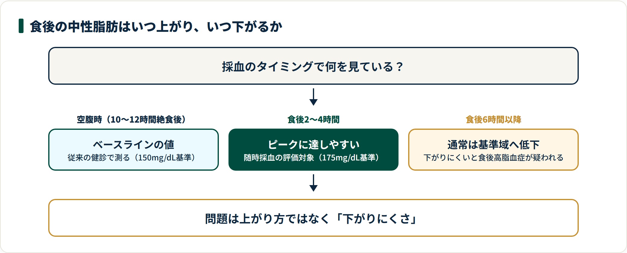 中性脂肪が空腹時のベースラインから食後2〜4時間でピークに達し、食後6時間以降に基準域へ戻る時間推移と、下がりにくいと食後高脂血症が疑われることを示した図