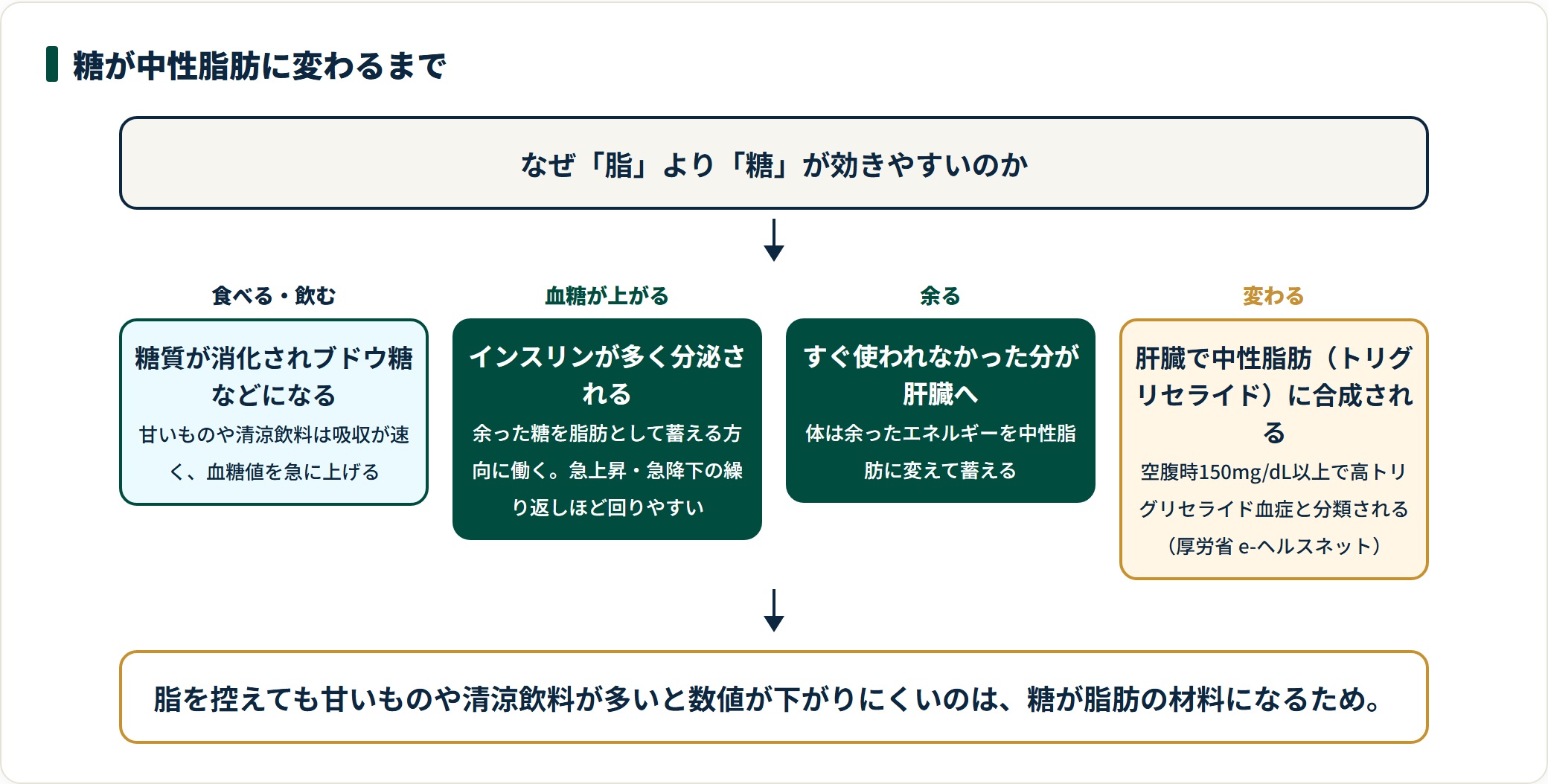糖質が消化・吸収され、肝臓で中性脂肪に合成されるまでの流れを4段階で示した図