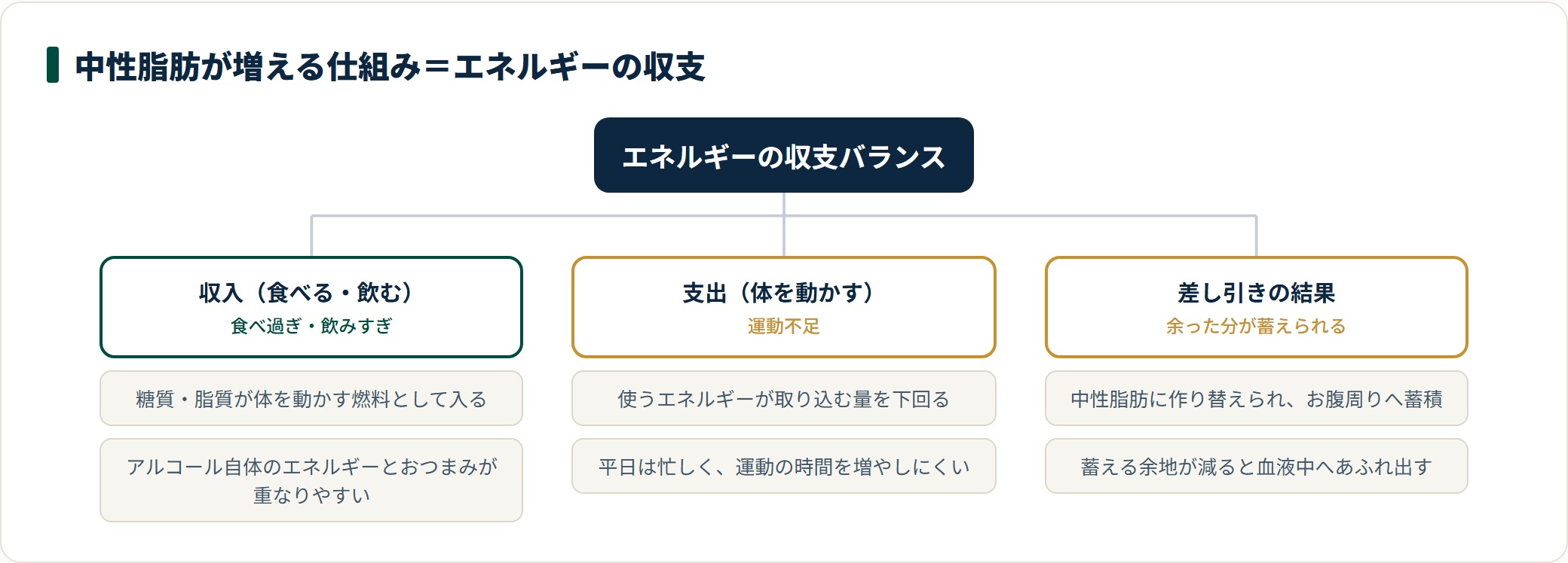 食べる量（収入）と動く量（支出）の差し引きで余ったエネルギーが中性脂肪として蓄えられる仕組みを示した分類図。