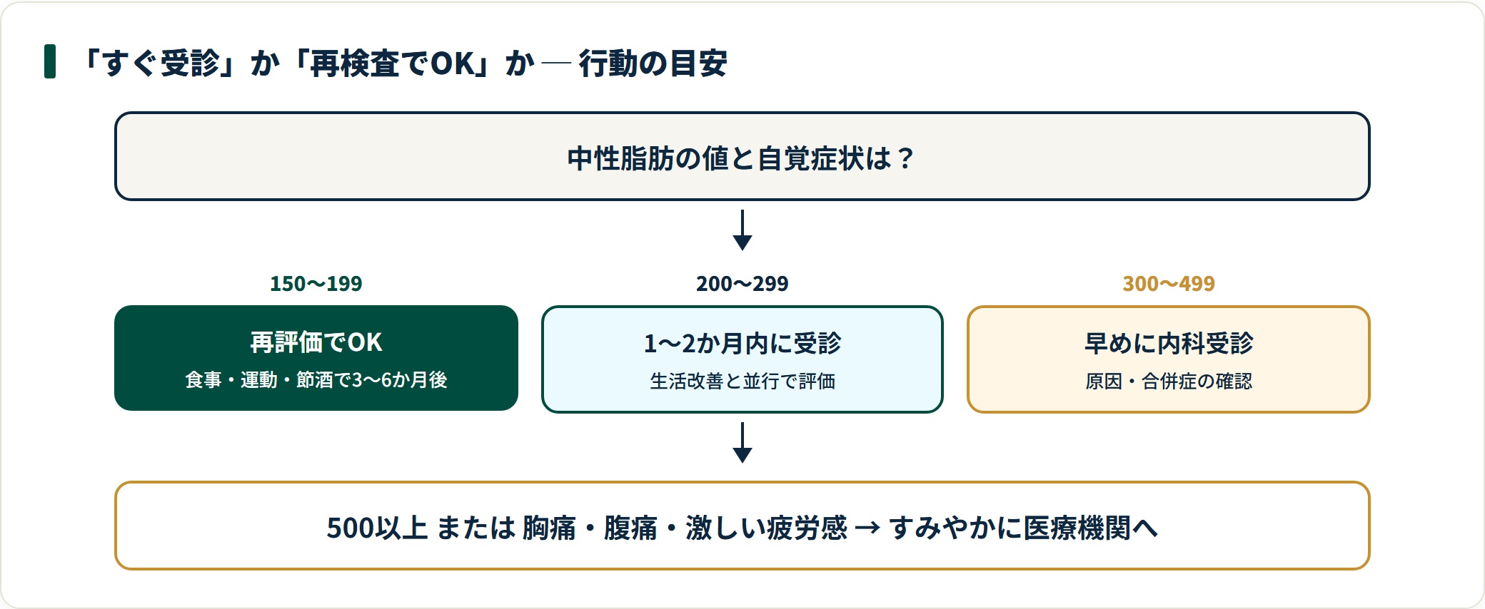 中性脂肪の数値と症状に応じた受診タイミングの目安。150〜199は再評価、200〜299は1〜2か月内受診、300以上は早めに受診、500以上や症状ありはすぐ受診