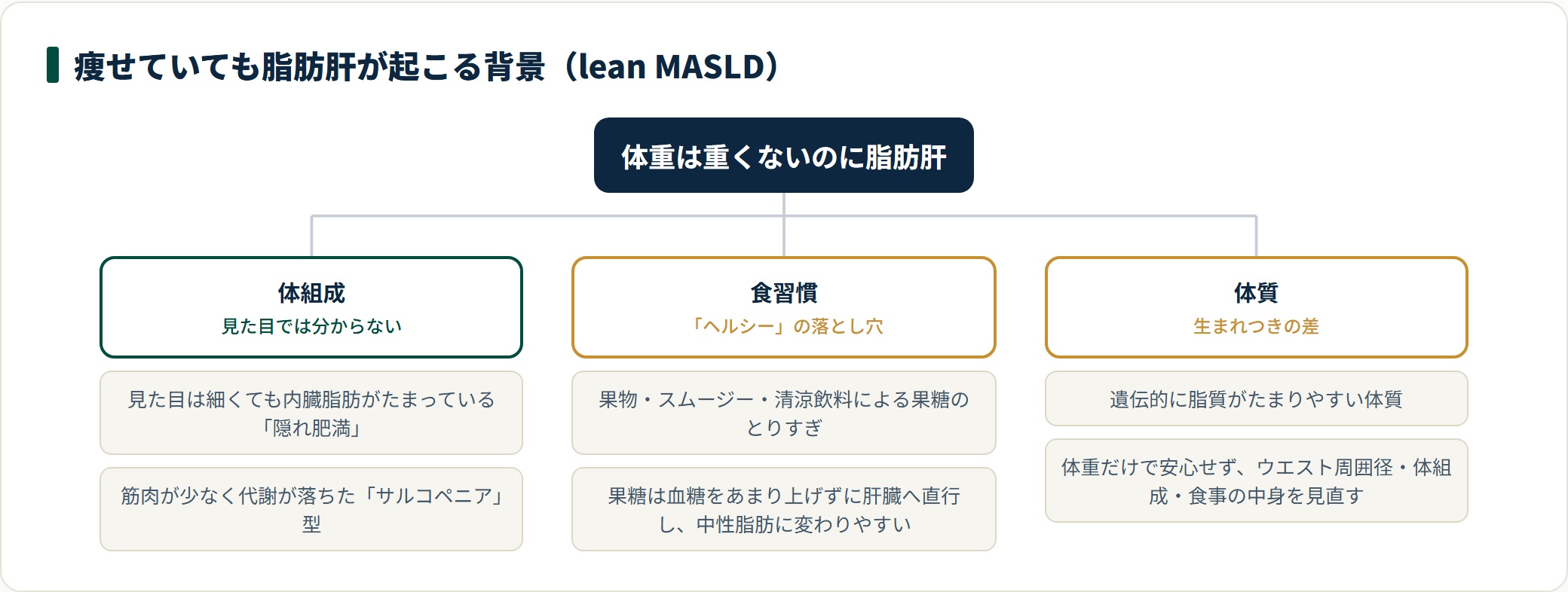 痩せていても脂肪肝が起こる背景を、体組成・食習慣・体質の3系統に分類した図。