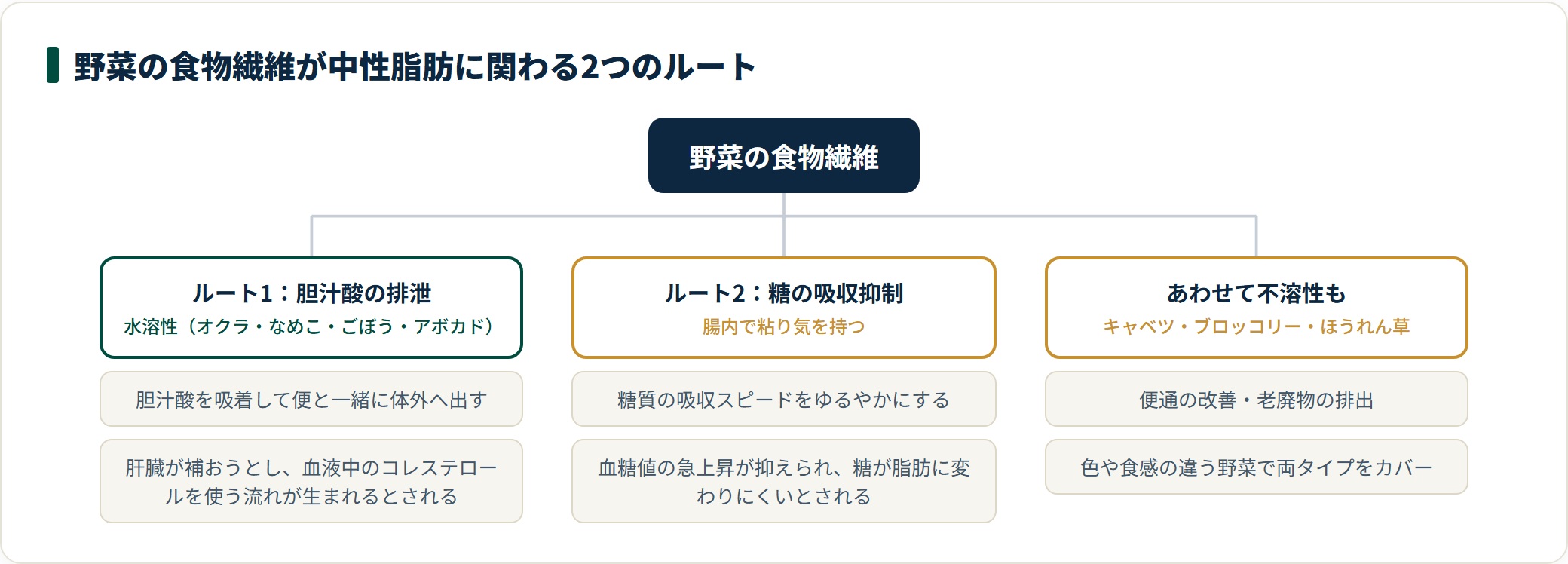 野菜の食物繊維が、胆汁酸の排泄と糖の吸収抑制という2つのルートで中性脂肪に関わることを示した分類図。