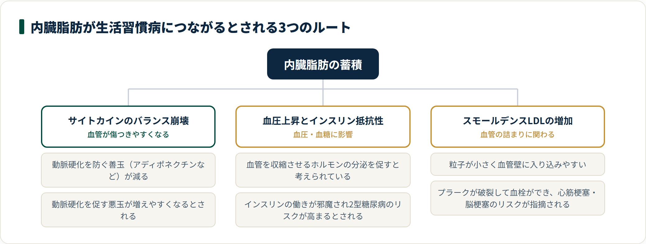 内臓脂肪の蓄積から生活習慣病につながるとされる3つのルートを枝分かれで示した分類図。