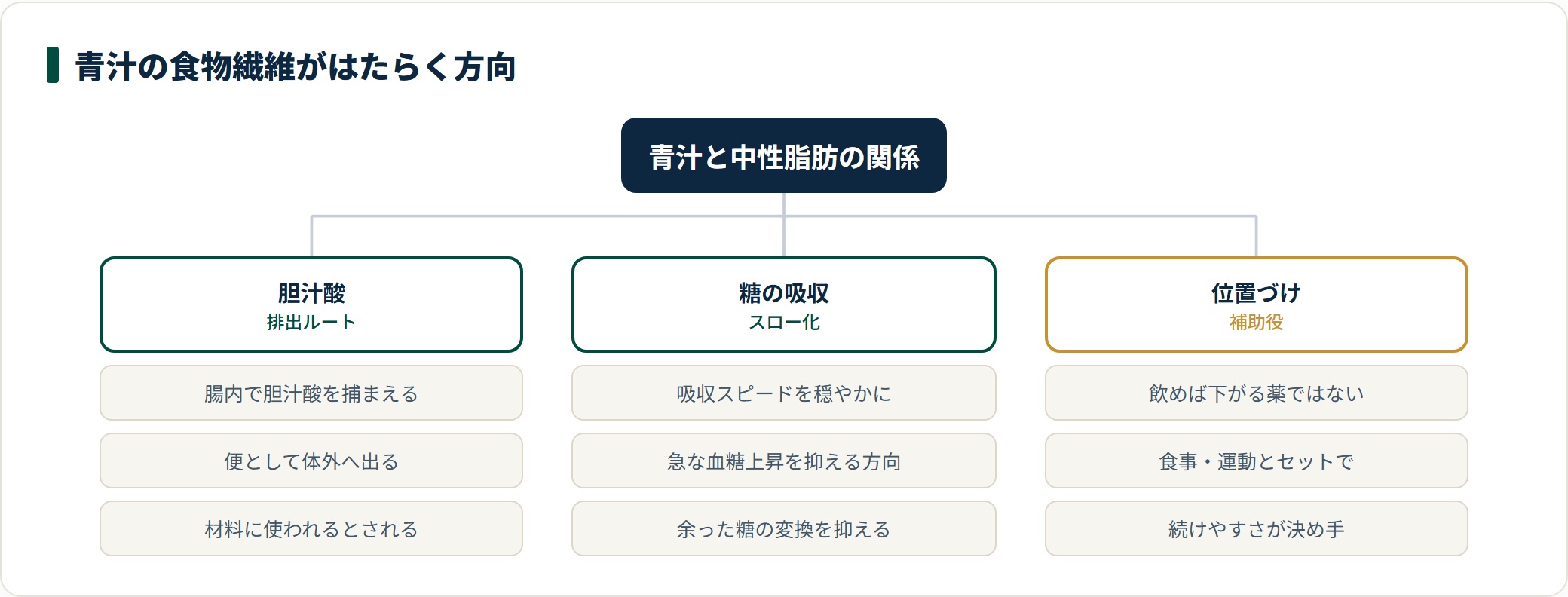 青汁の食物繊維が胆汁酸の排出と糖の吸収の2ルートで関わり、あくまで補助役という位置づけであることを示した図。