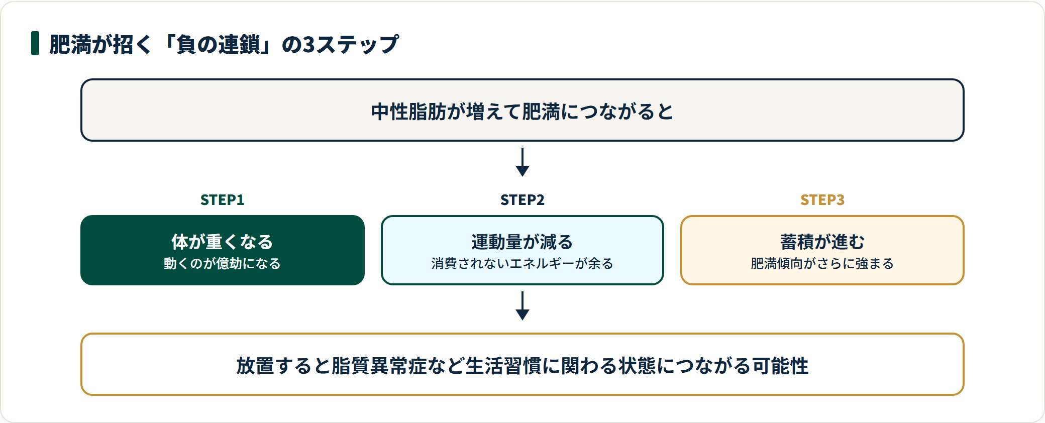 中性脂肪の増加は体が重くなる・運動量が減る・さらに蓄積するという負の連鎖を招く