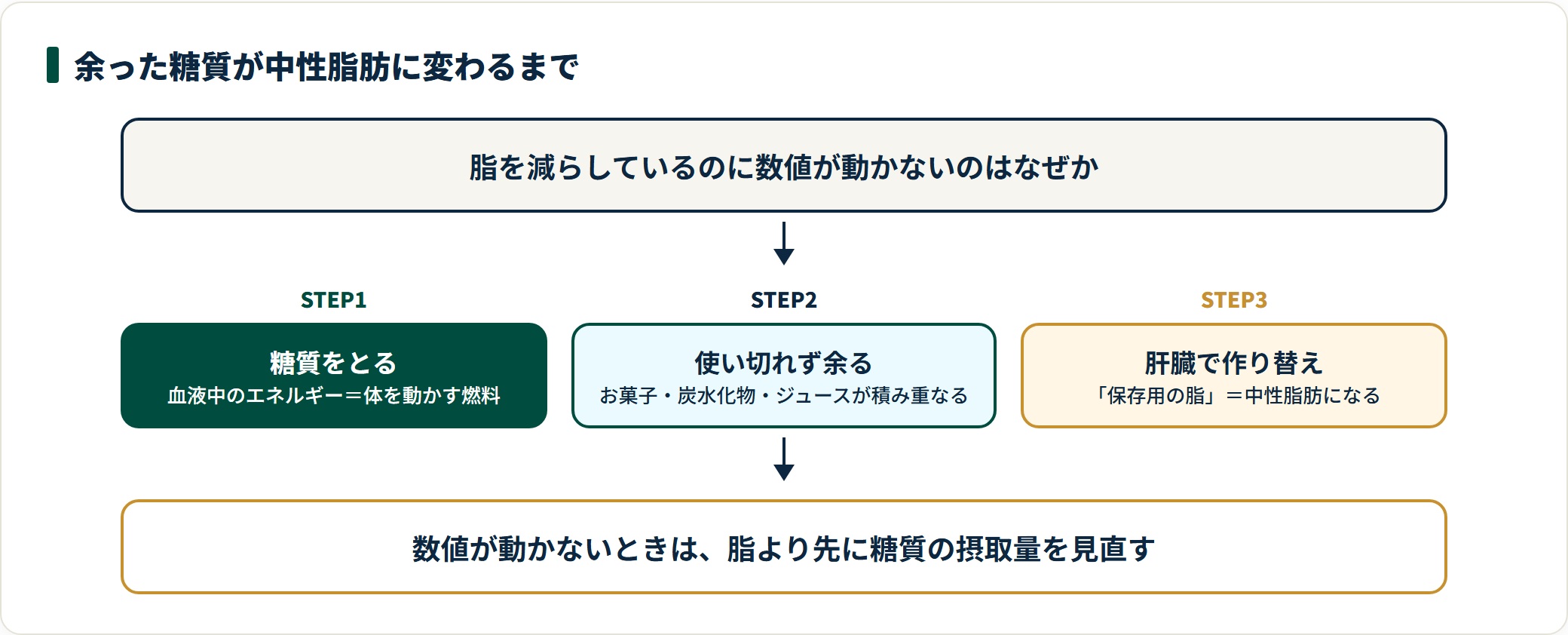 糖質は体の燃料だが、使い切れずに余ると肝臓で中性脂肪に作り替えられて蓄積する