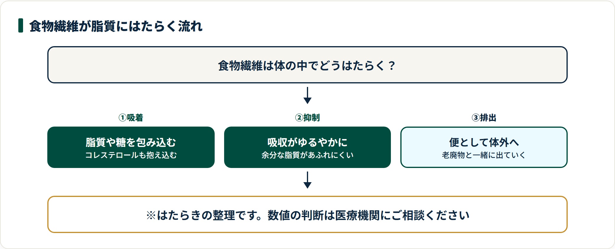 食物繊維が脂質にはたらく流れを3段階で示した図。脂質や糖、コレステロールを包み込む吸着、腸からの吸収がゆるやかになる抑制、便として体外へ出る排出という順に整理している。