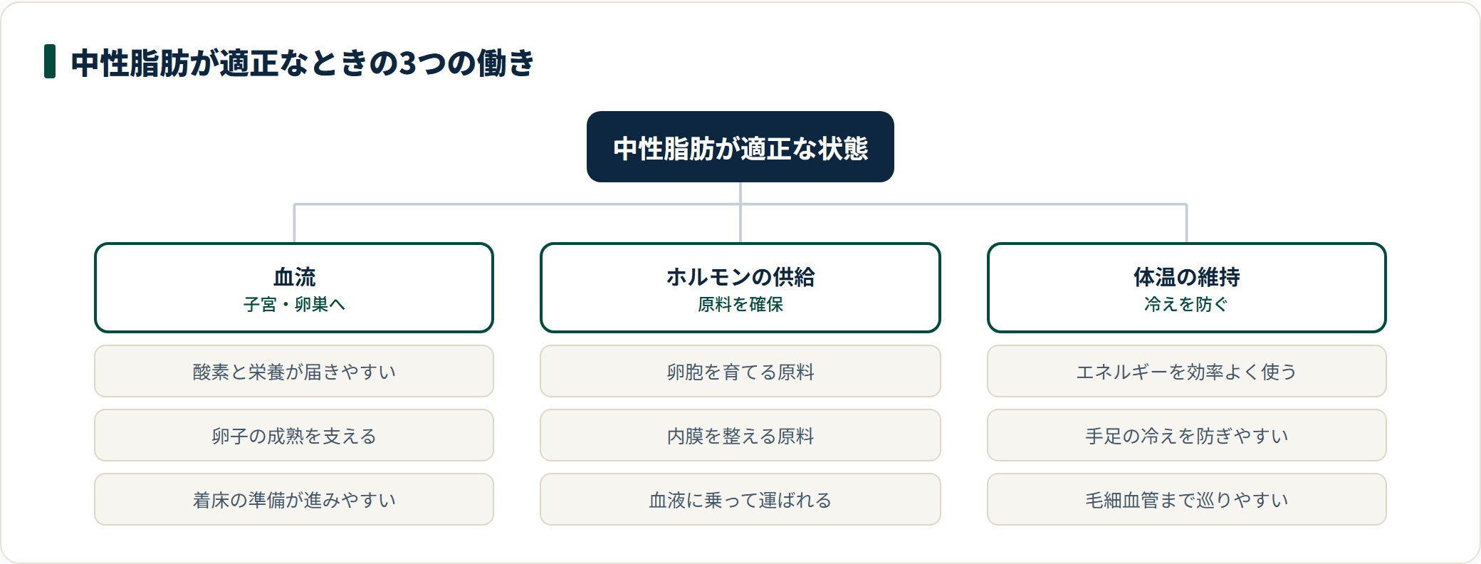 中性脂肪が適正範囲にあるときに整いやすい働きを3つに分けた図。血流(子宮や卵巣へ酸素と栄養が届きやすい)、ホルモンの供給(卵胞を育て内膜を整える原料が確保される)、体温の維持(エネルギーが効率よく使われ冷えを防ぎやすい)に整理している。