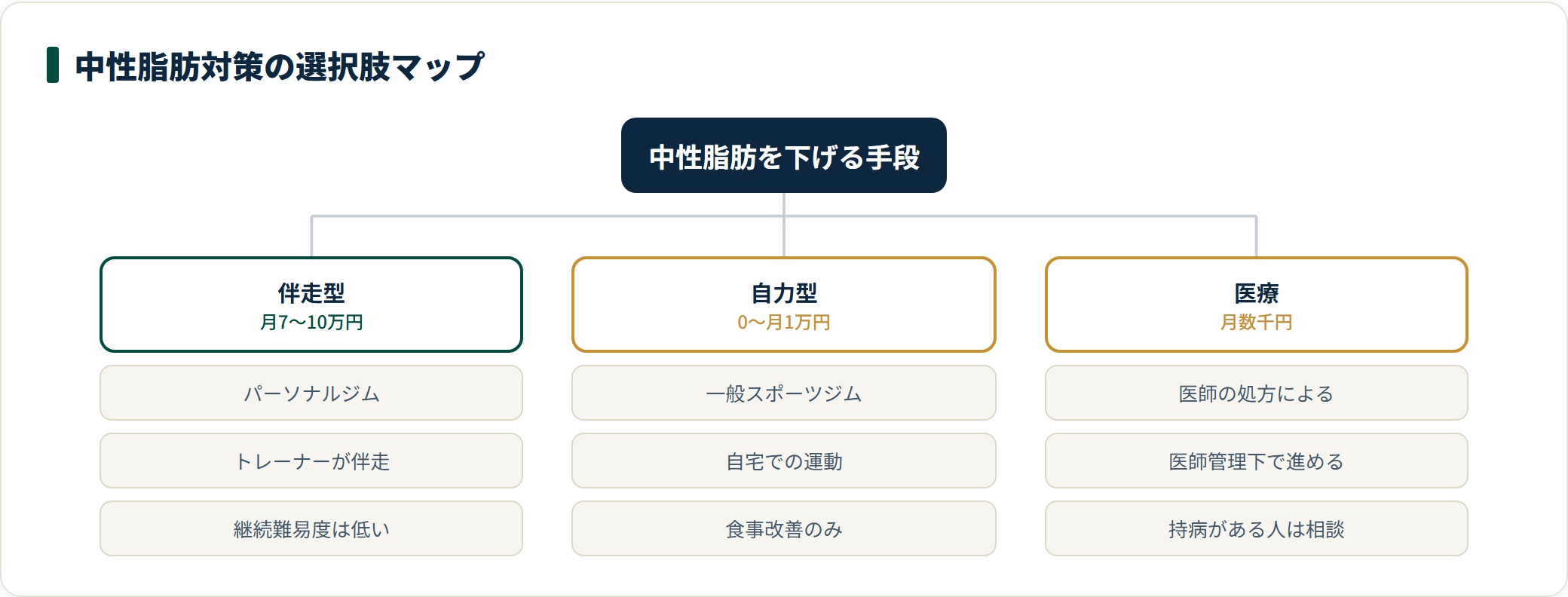 中性脂肪対策の選択肢を伴走型・自力型・医療の3方向に分類した図。費用の目安と継続難易度の違いを示している。