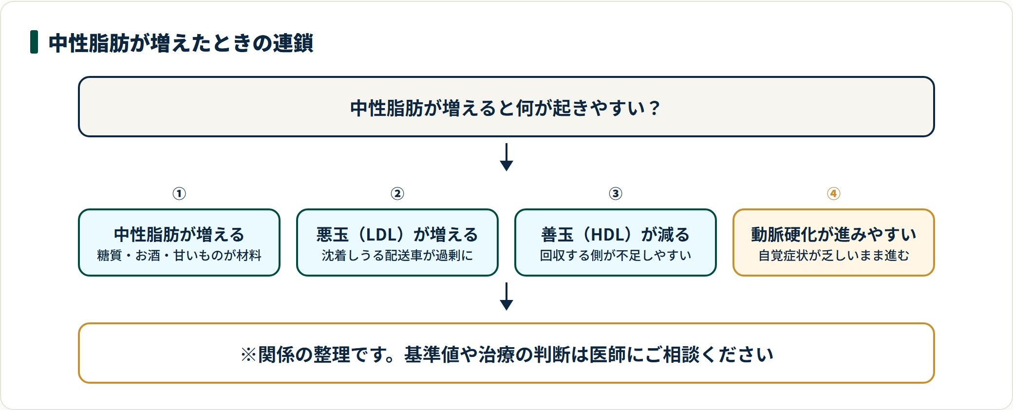 中性脂肪が増えたときに起きやすい連鎖を4段階で示した図。糖質やお酒を材料に中性脂肪が増え、悪玉（LDL）が増えて善玉（HDL）が減り、自覚症状が乏しいまま動脈硬化が進みやすい環境につながると整理している。