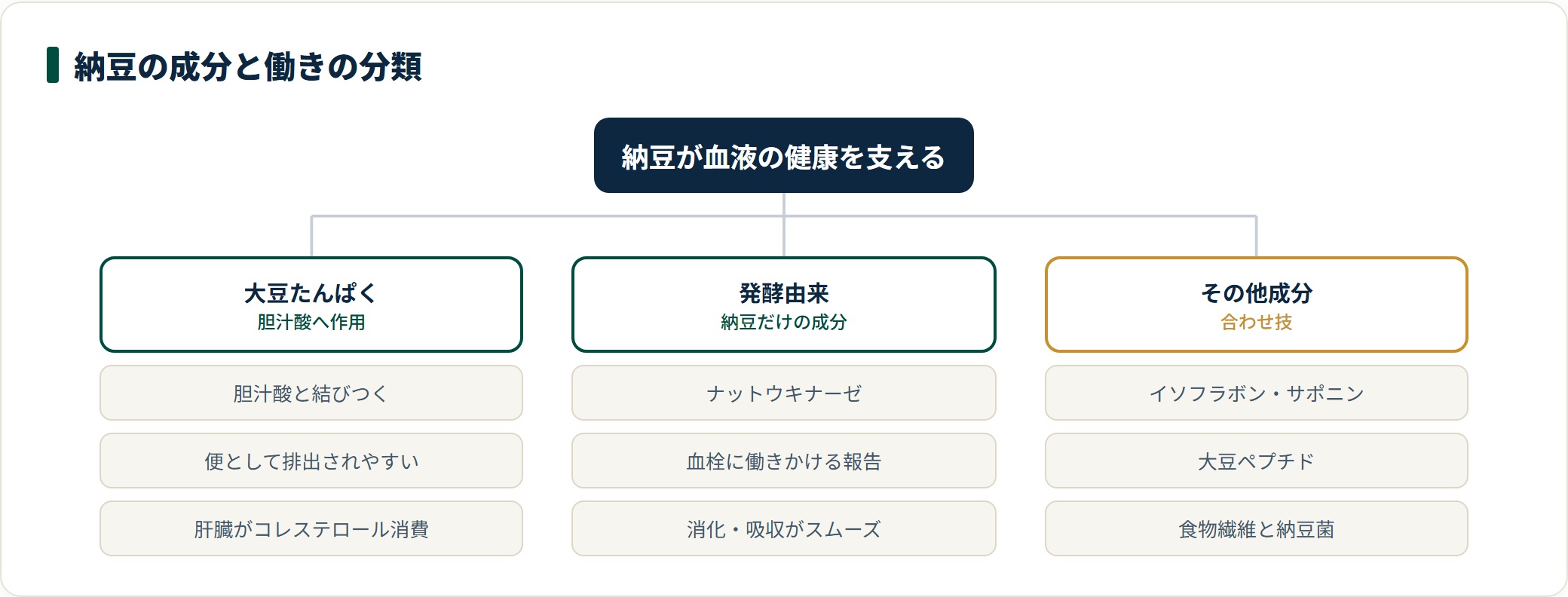 納豆の成分を大豆たんぱく質・発酵由来・その他の成分の3つに分類し、それぞれの働きとされるものを示した図。