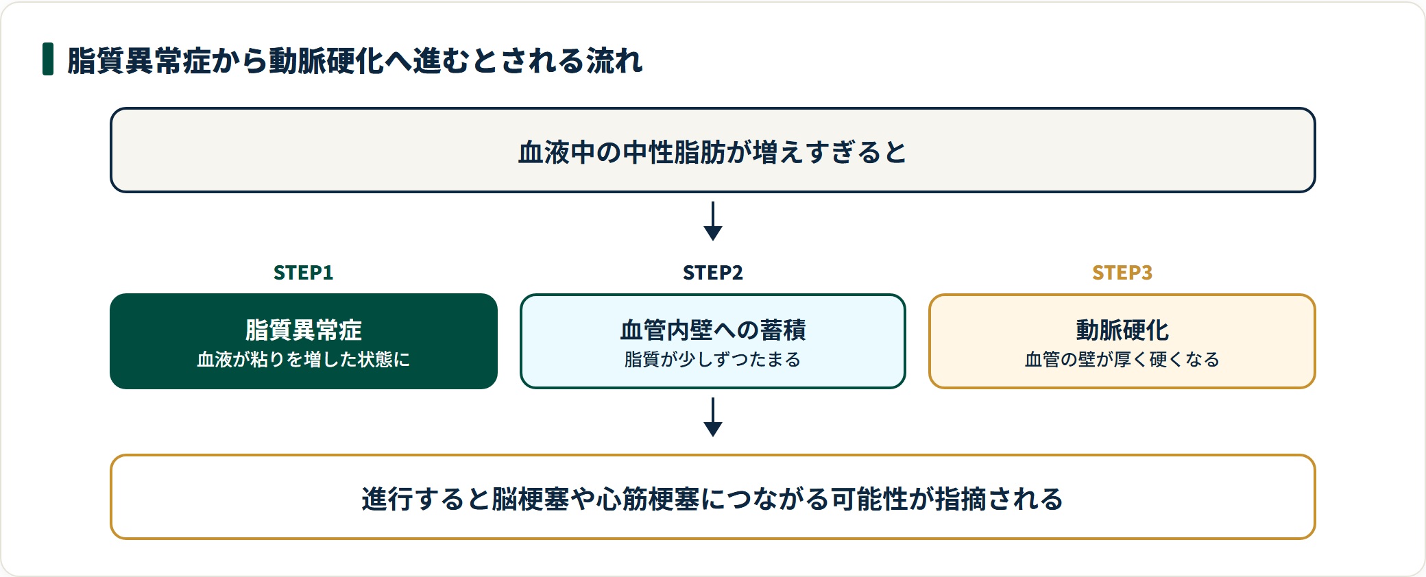 中性脂肪の増加は脂質異常症から血管内壁への蓄積を経て動脈硬化へ進むとされる