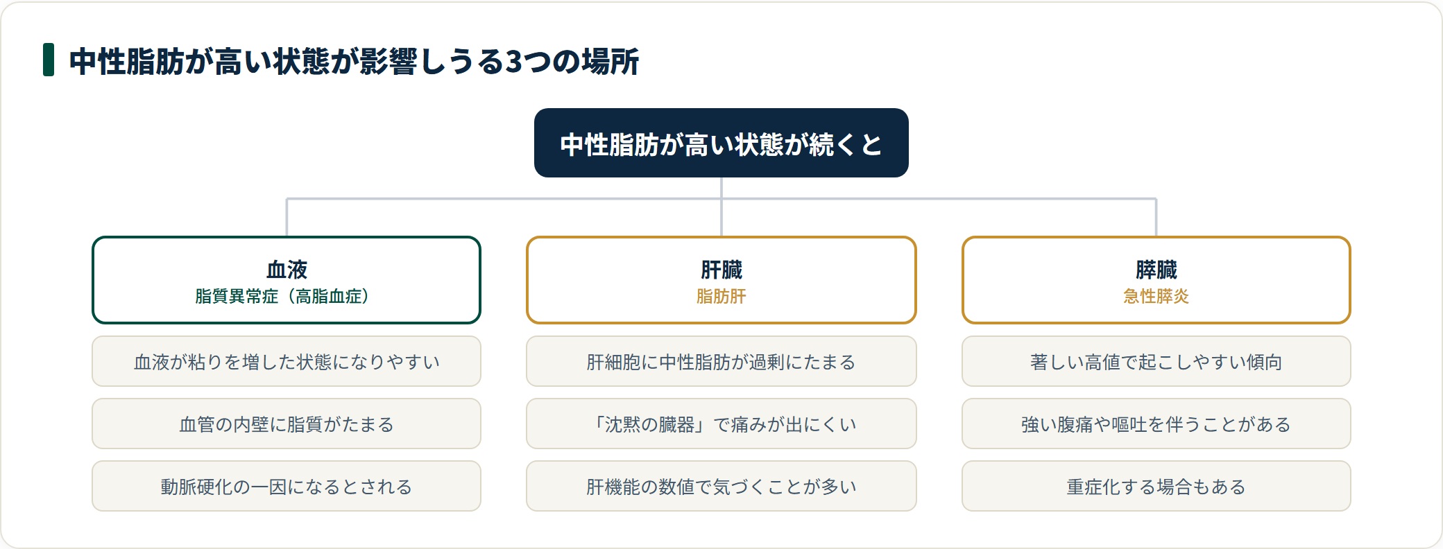 中性脂肪が高い状態は血液の脂質異常症、肝臓の脂肪肝、膵臓の急性膵炎という3方向に影響しうる