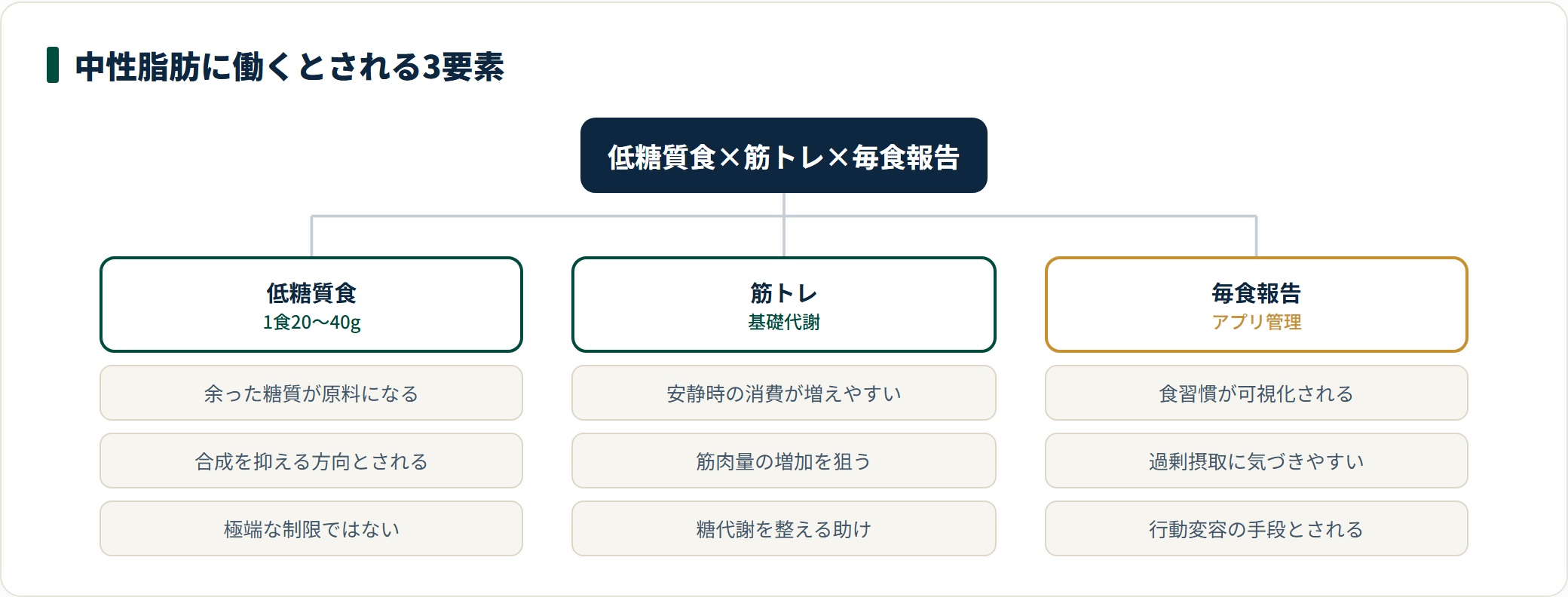 RIZAPが中性脂肪に働くとされる3要素を示した図。低糖質の食事管理、筋力トレーニング、毎食の食事報告に分かれる。