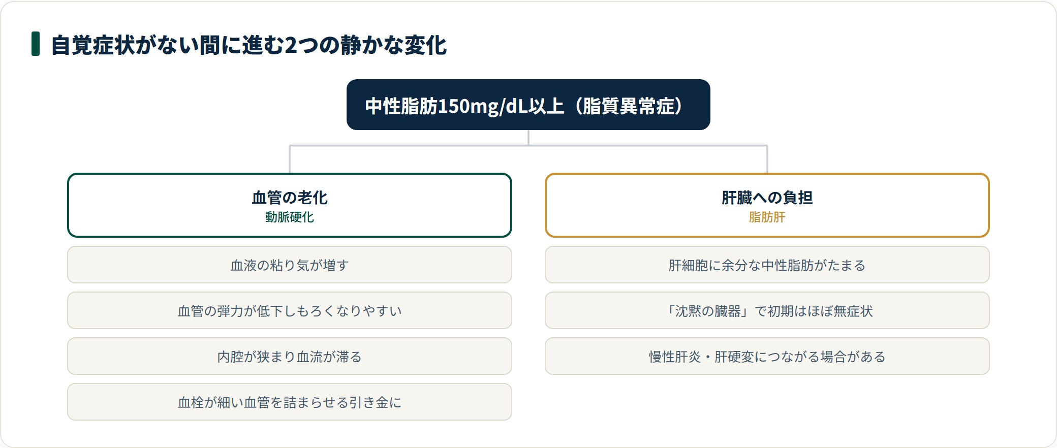 中性脂肪150mg/dL以上では無症状のまま動脈硬化と脂肪肝という2つの変化が進む