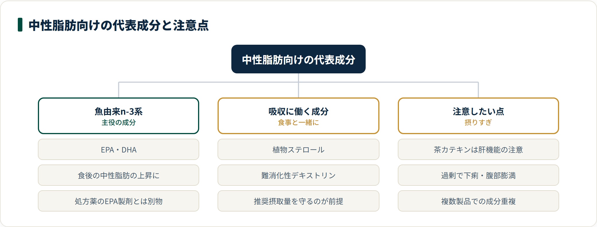 中性脂肪向けの代表成分を整理した図。EPA・DHAが主役で、植物ステロールや難消化性デキストリンは吸収に働く。茶カテキンの肝機能への注意や過剰摂取による消化器症状、複数製品での成分重複に注意が必要と示している。