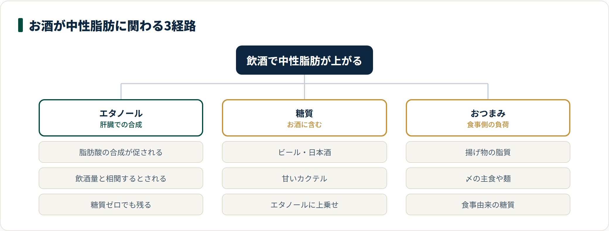 アルコールが中性脂肪に関わる3つの経路を示した図。エタノール、お酒に含まれる糖質、おつまみや〆の食事に分かれる。