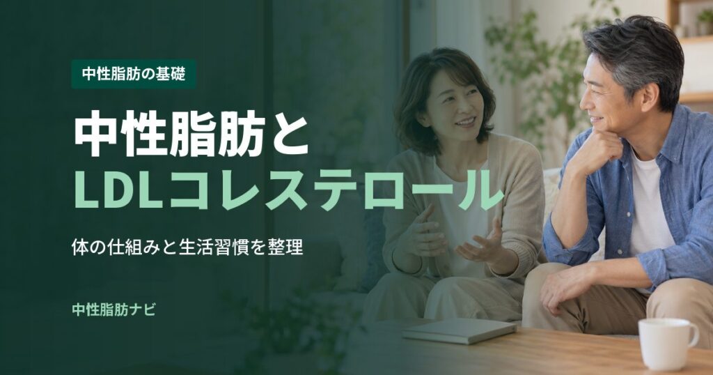 中性脂肪とLDLコレステロール