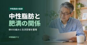 中性脂肪と肥満の関係