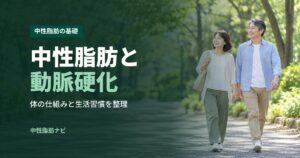 中性脂肪と動脈硬化